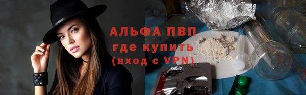 индика Аркадак