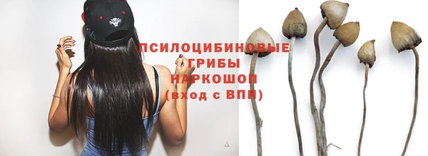 индика Аркадак