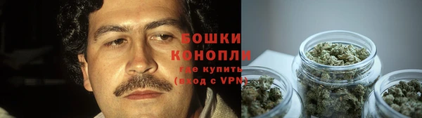 мяу мяу мука Елабуга