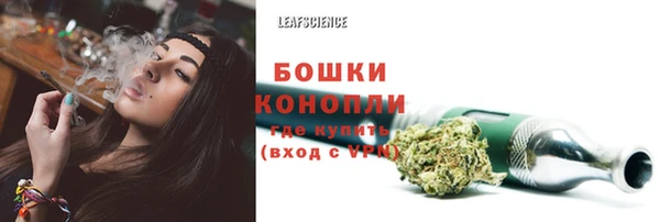 индика Аркадак