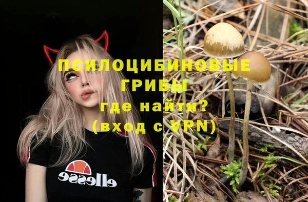 индика Аркадак
