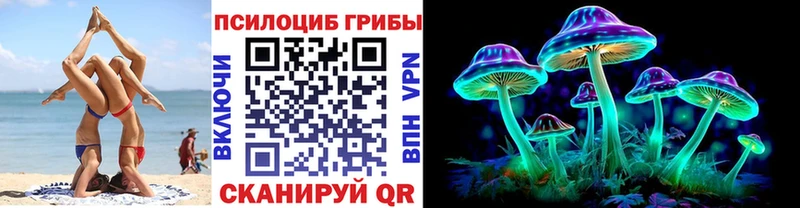 Псилоцибиновые грибы MAGIC MUSHROOMS сколько стоит Пустошка